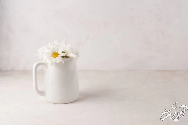 بابونه